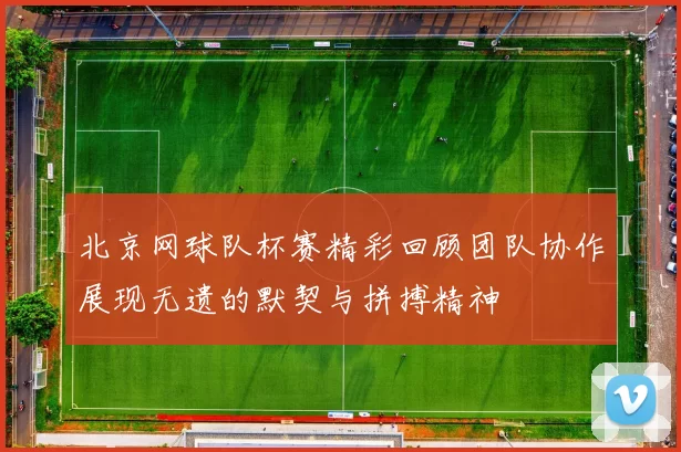 北京网球队杯赛精彩回顾团队协作展现无遗的默契与拼搏精神