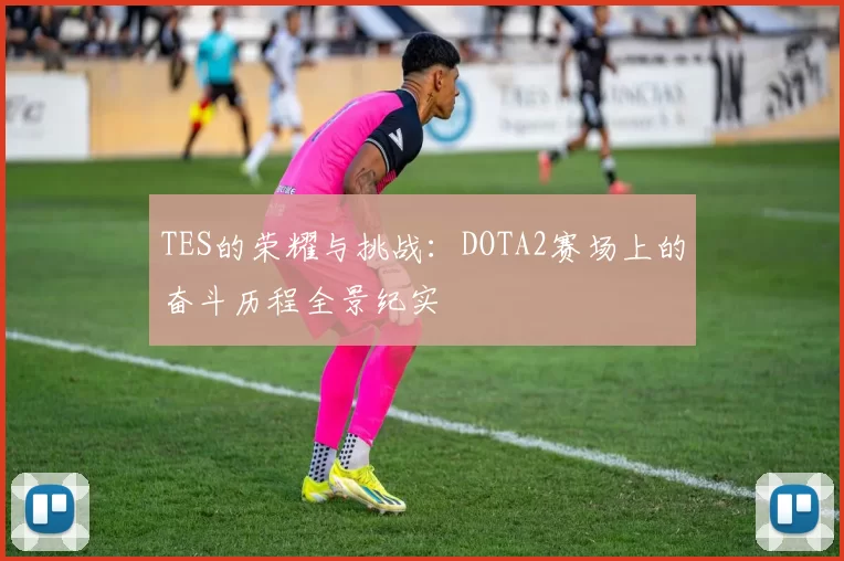 TES的荣耀与挑战：DOTA2赛场上的奋斗历程全景纪实