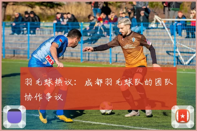羽毛球热议：成都羽毛球队的团队协作争议