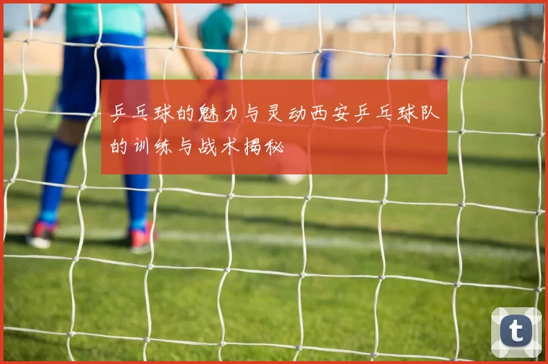 乒乓球的魅力与灵动西安乒乓球队的训练与战术揭秘