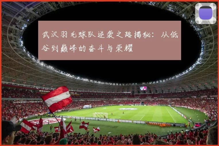 武汉羽毛球队逆袭之路揭秘：从低谷到巅峰的奋斗与荣耀