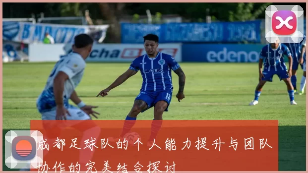 成都足球队的个人能力提升与团队协作的完美结合探讨