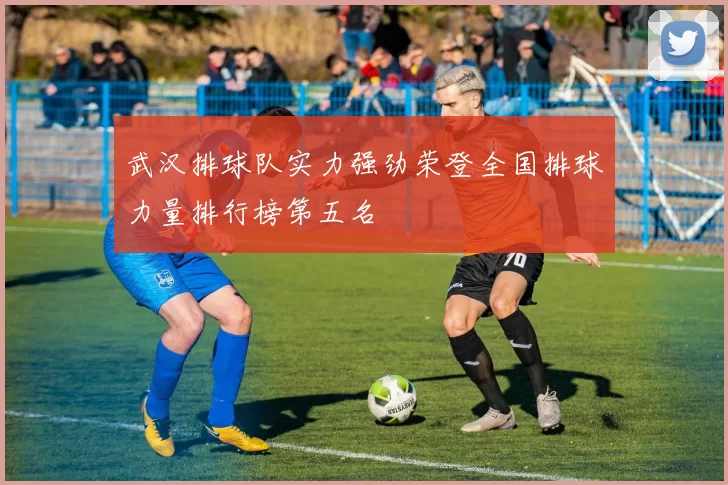 武汉排球队实力强劲荣登全国排球力量排行榜第五名