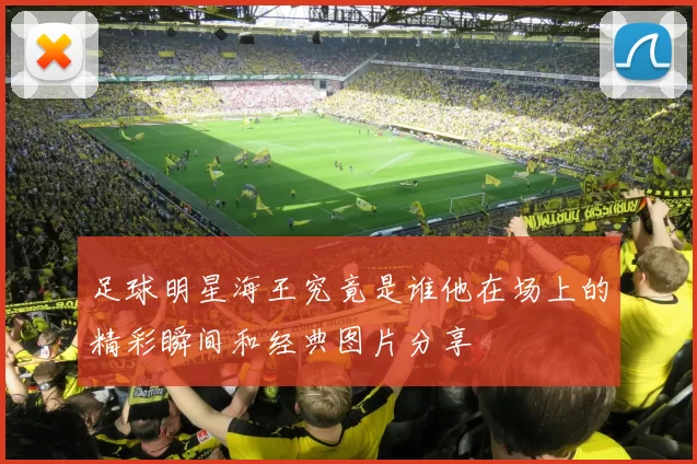 足球明星海王究竟是谁他在场上的精彩瞬间和经典图片分享