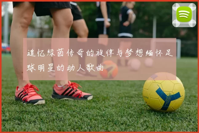 追忆绿茵传奇的旋律与梦想缅怀足球明星的动人歌曲