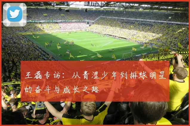 王磊专访：从青涩少年到排球明星的奋斗与成长之路