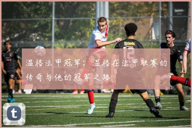 温格法甲冠军：温格在法甲联赛的传奇与他的冠军之路