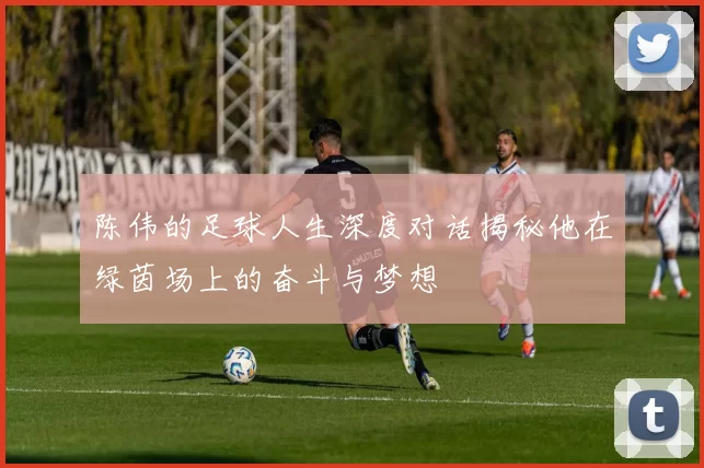 陈伟的足球人生深度对话揭秘他在绿茵场上的奋斗与梦想