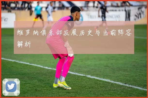 维罗纳俱乐部发展历史与当前阵容解析