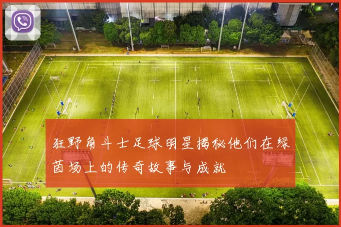 狂野角斗士足球明星揭秘他们在绿茵场上的传奇故事与成就