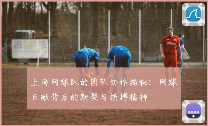 上海网球队的团队协作揭秘：网球巨献背后的默契与拼搏精神