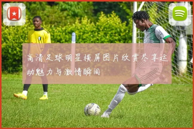 高清足球明星横屏图片欣赏尽享运动魅力与激情瞬间