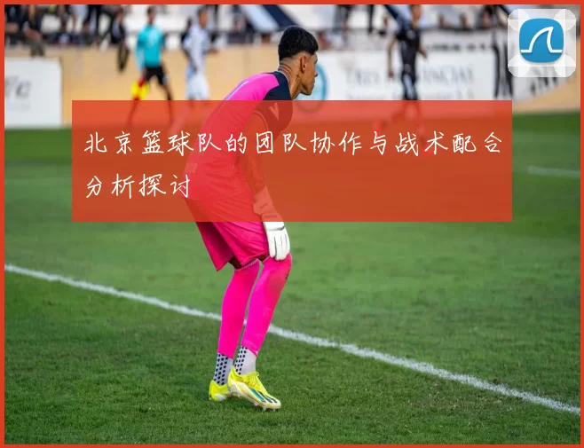 北京篮球队的团队协作与战术配合分析探讨