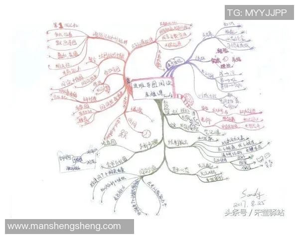 周伟谈攀岩之路:从初学者到顶尖高手的心路历程分享 周伟谈攀岩之路:从初学者到顶尖高手的心路历程分享