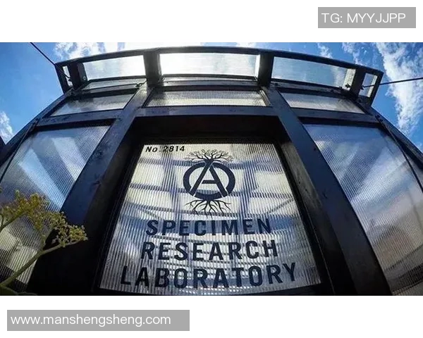 杭州滑板队的崛起与反击背后的故事与启示 杭州滑板队的崛起与反击背后的故事与启示