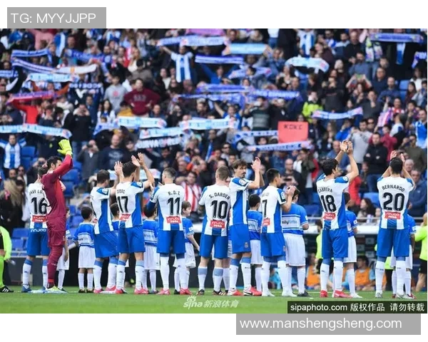 成都羽毛球队实力对比深度解析与未来发展展望