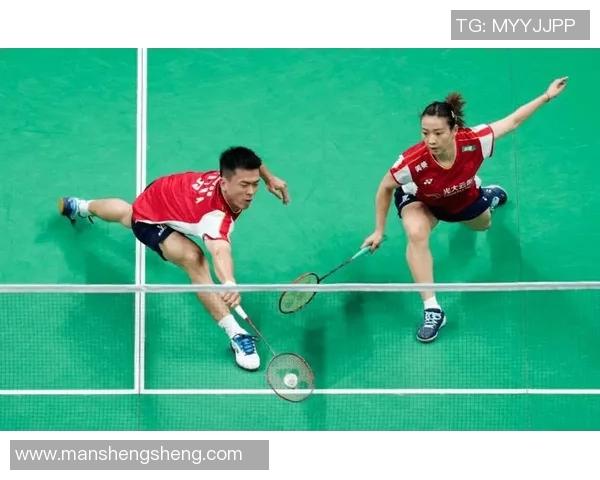 深入探讨杭州羽毛球队的团队配合与战术分析表现的研究报告