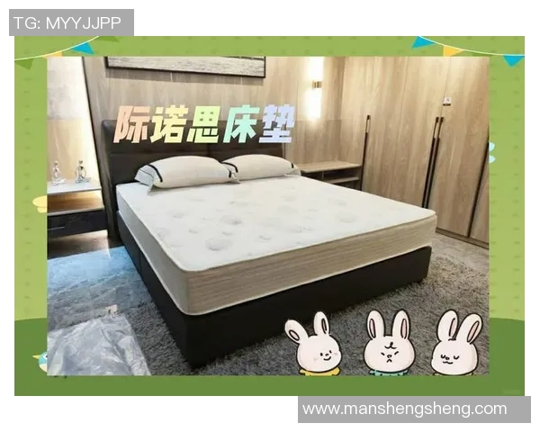 选择一款适合自己的床垫，提升睡眠质量与身体健康的全方位指南
